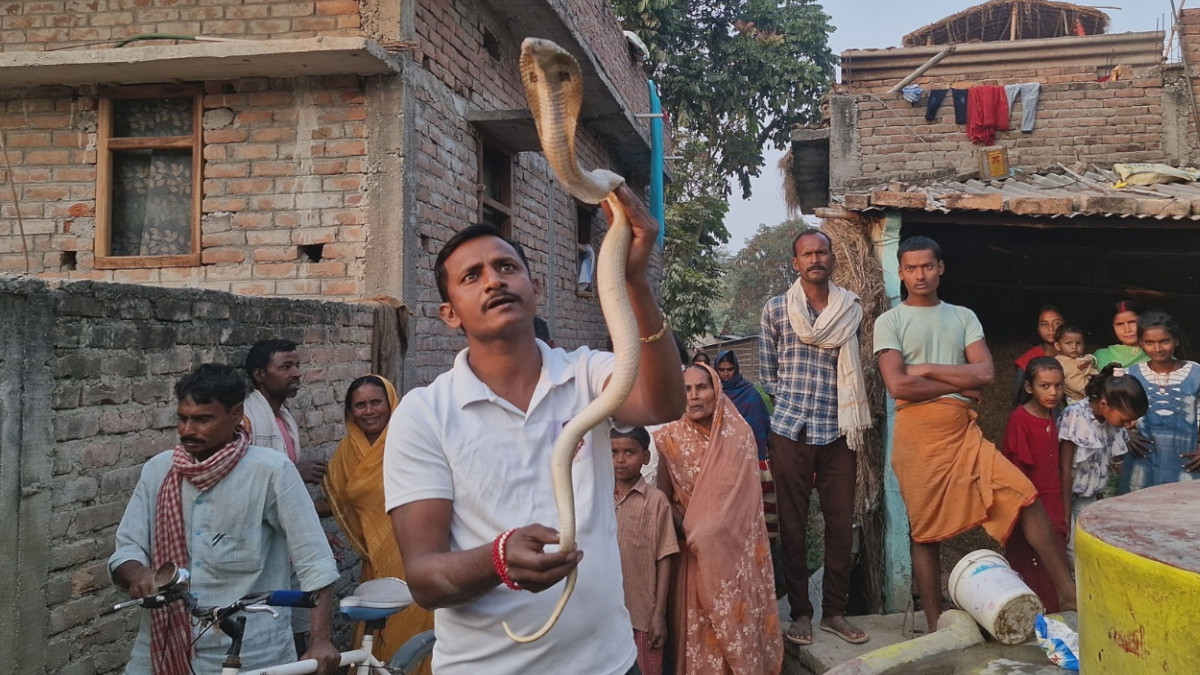 Bihar: 'Messiah of Snakes' Dies After Venomous Snakebite During Rescue Operation