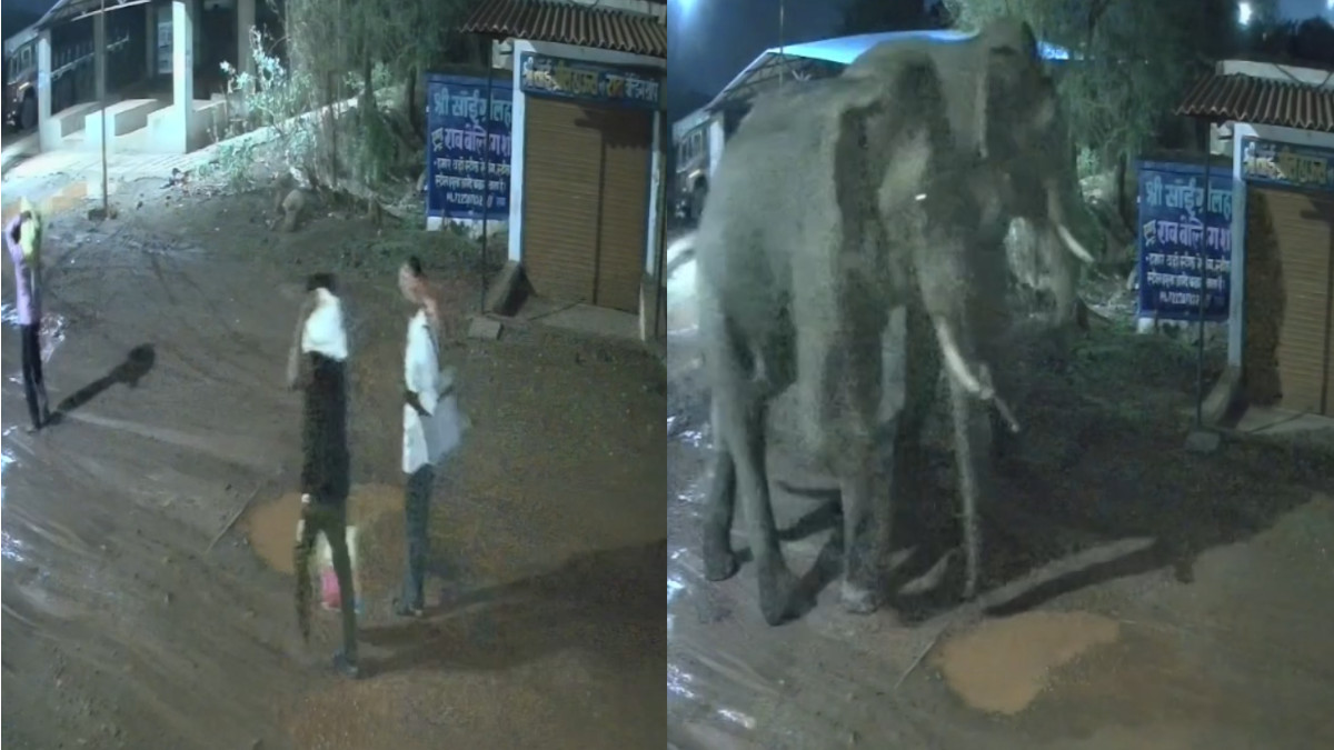 Elephant Enters Balod Town, Narrow Escape for Pedestrian Caught on CCTV