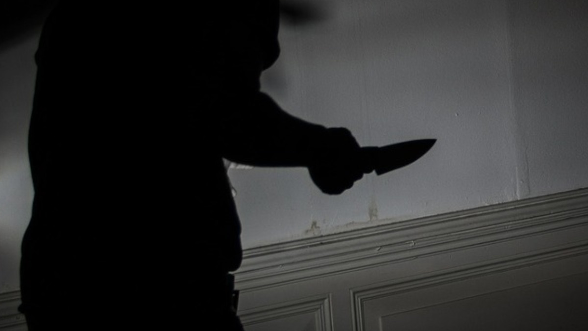 Delhi Crime: Teenager's Body Discovered in Seelampur Park, Two Suspects Held