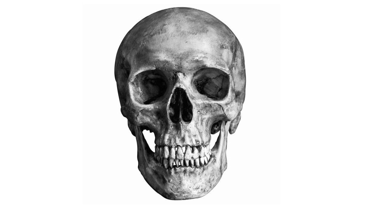 Amritsar: Human Skull Found on Roof of Bolero at Taxi Stand, Creates Sensation in Area