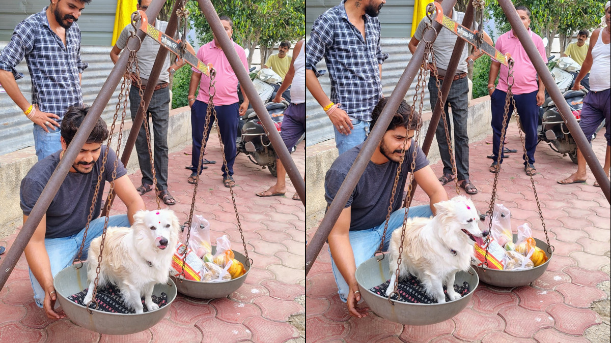 Dewas: Unique 'Tuladan' Ceremony for Pet Dog 'Bobby' After Its Eyesight is Restored, Family Fulfills Vow