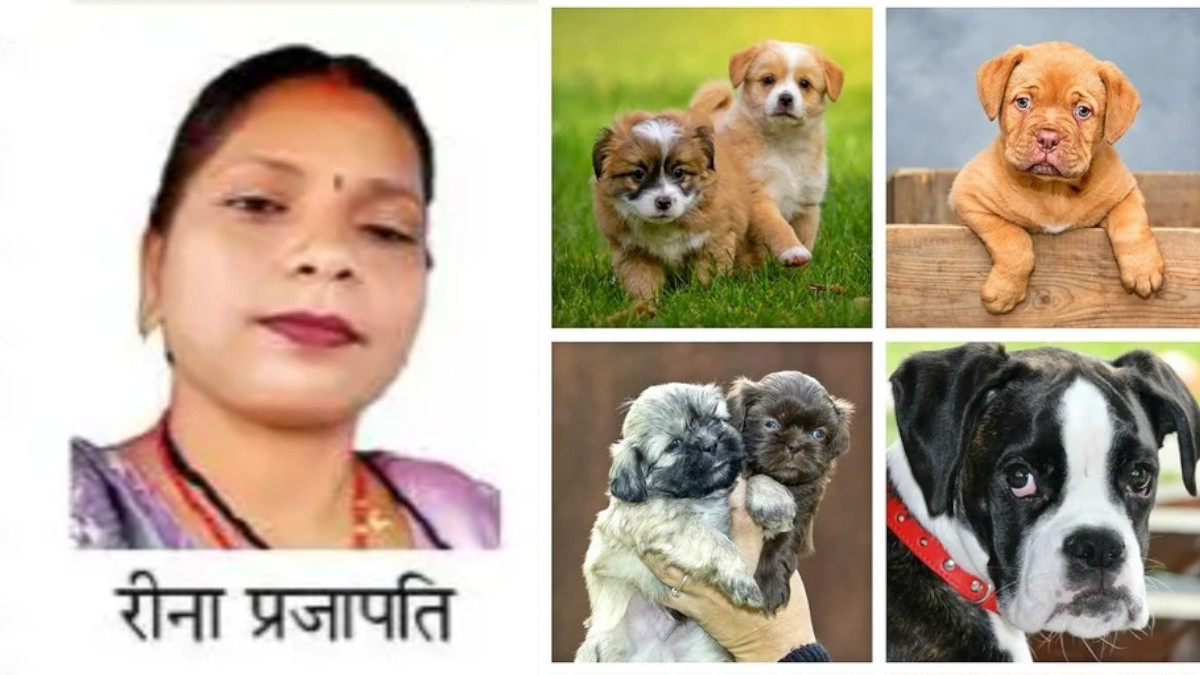 Gwalior: Woman Dies by Suicide After Losing ₹1.70 Lakh in Online Dog Purchase Scam