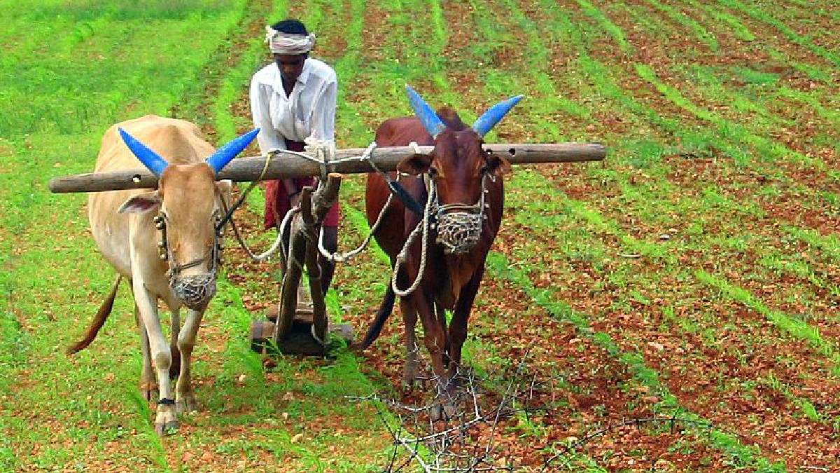 Cabinet Clears ₹6,520 Crore for PM Kisan Sampada Yojana Expansion