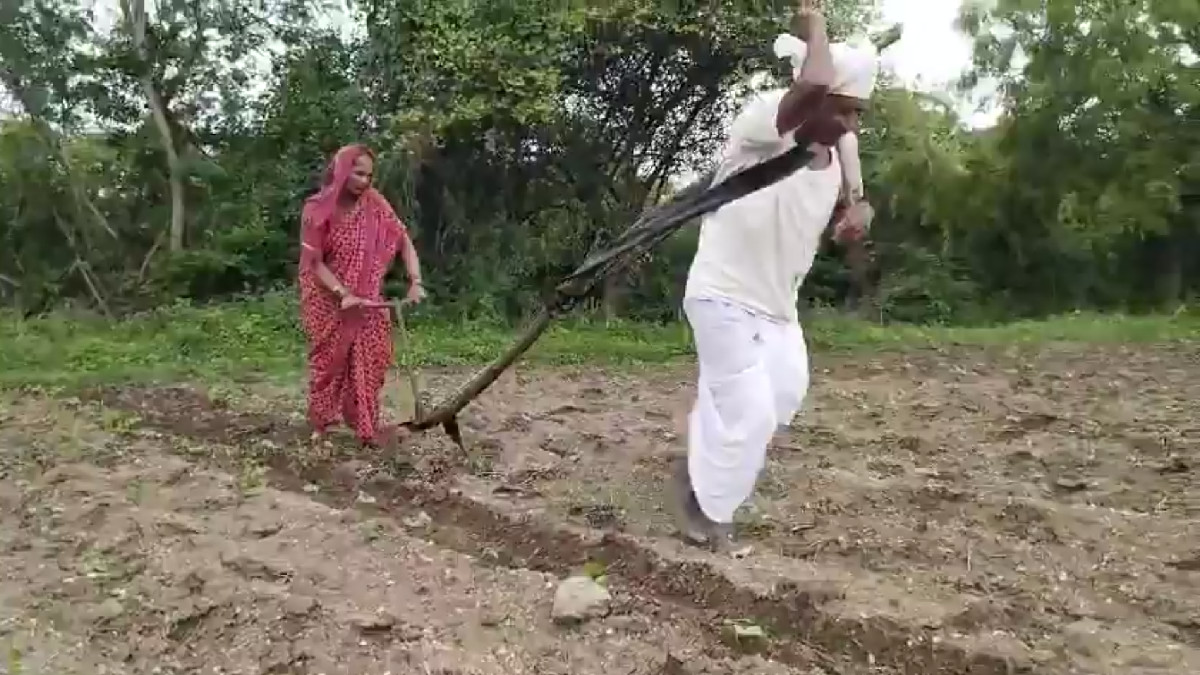 Maharashtra Shocked as Latur Farmer Ambadash Pawar Plows Field by Hand, Unable to Afford Bulls
