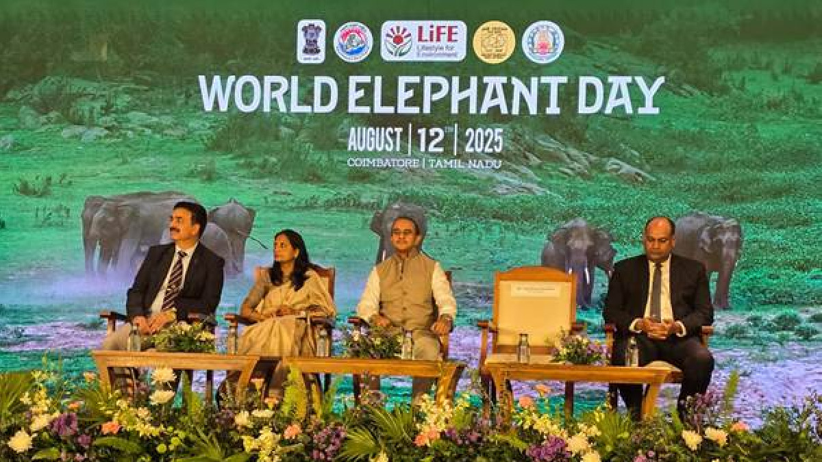 In Coimbatore, India Celebrates World Elephant Day; 'Gaj Gaurav' Awards Conferred to Frontline Staff