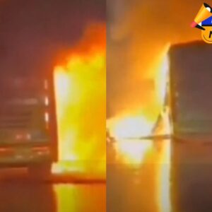 Bengaluru karnul bus fire