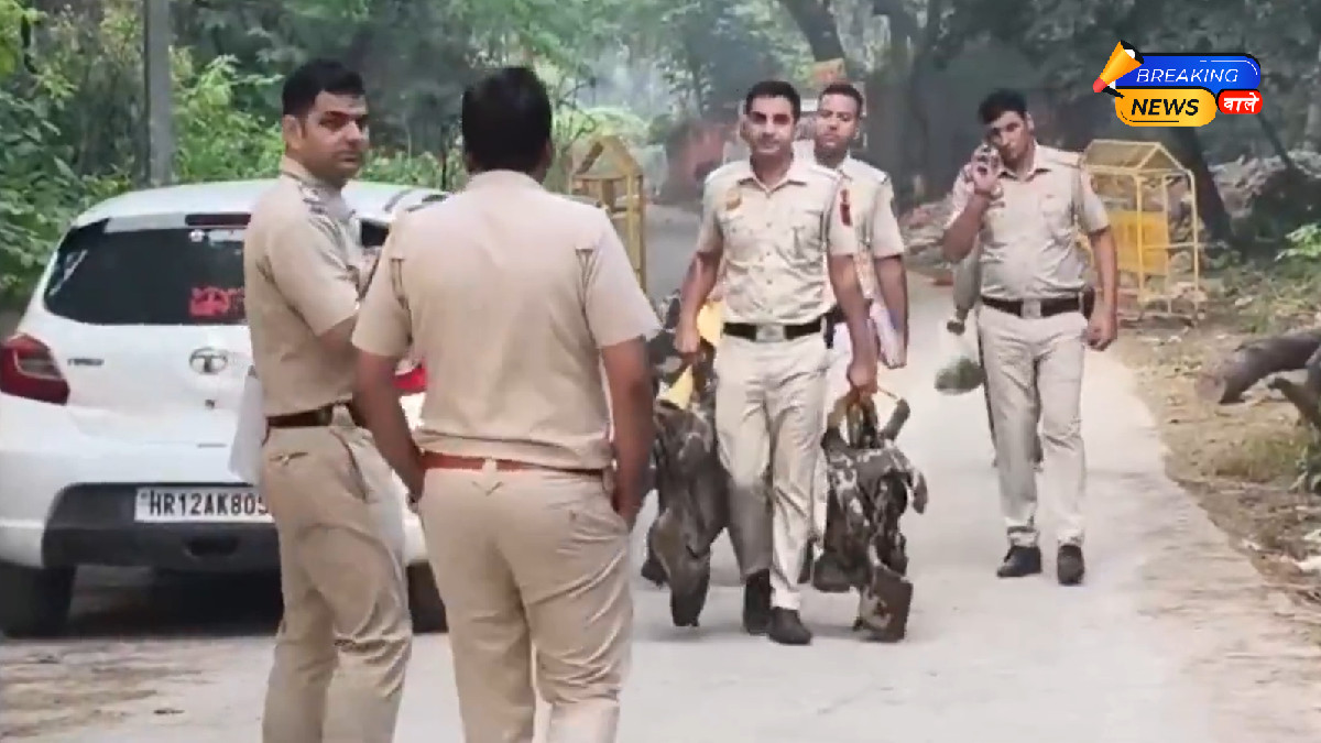 Delhi Police Encounter: Arms Supplier Kaku Pahadia Shot, Hospitalized