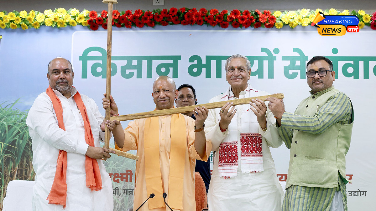 Sugarcane Farmers Get 'Double Diwali' Gift: Yogi Government Hikes Sugarcane Price; Farmers Express Gratitude