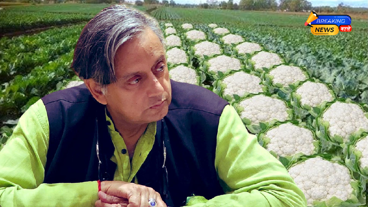 Ashok Singhal's 'Cauliflower Farming' Post Ignites Firestorm; Shashi Tharoor Says 'Hinduism Does Not Support Massacres'