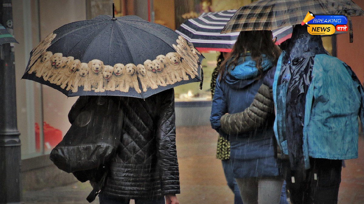 Delhi-NCR, UP, and Uttarakhand Brace for Cold Wave as Temperatures Fall; Snow Alert in the Hills