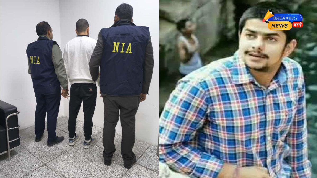 Gangster Lawrence Bishnoi's Brother Anmol Bishnoi Extradited from US to India, Arrested by NIA at Delhi Airport