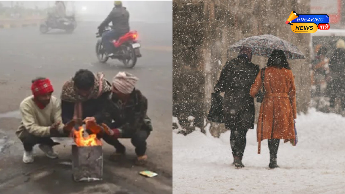 IMD Warning: Heavy Rain in Bay of Bengal and Southern States; Cold Wave Continues in North India