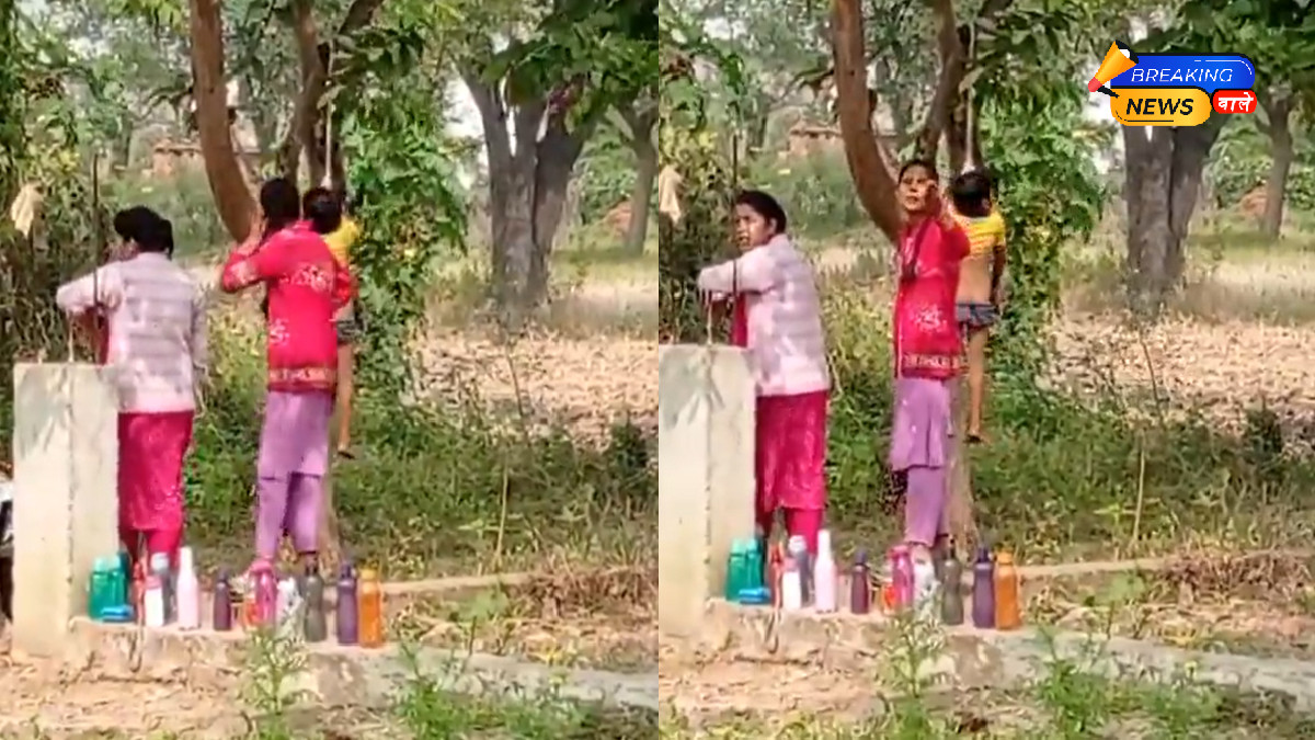 KG-2 Student in Chhattisgarh Tied and Hung from a Tree for Failing to Do Homework; Probe Initiated