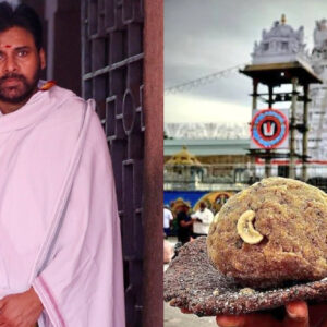 Tirupati Laddu Controversy: Deputy CM Pawan Kalyan Calls for 'Sanatana Dharma Parirakshana Board'