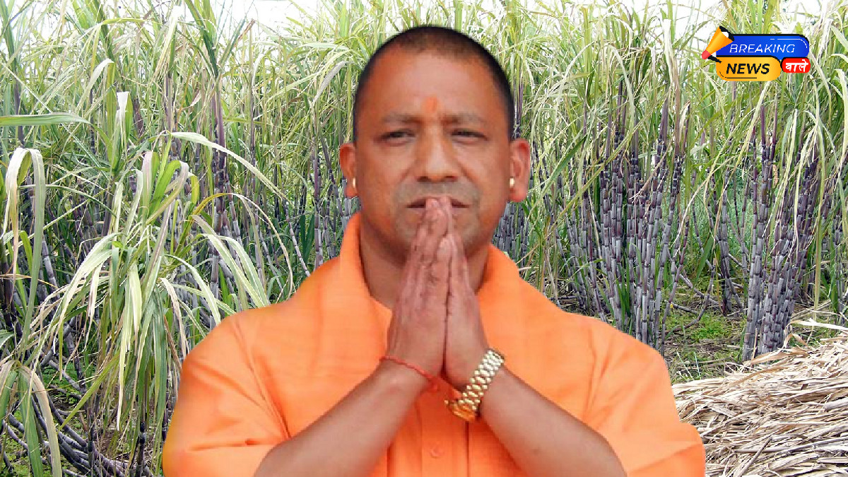 UP Crushing Season Kicks Off: 21 Sugar Mills Start Operations Following ₹30/Quintal Sugarcane Price Boost