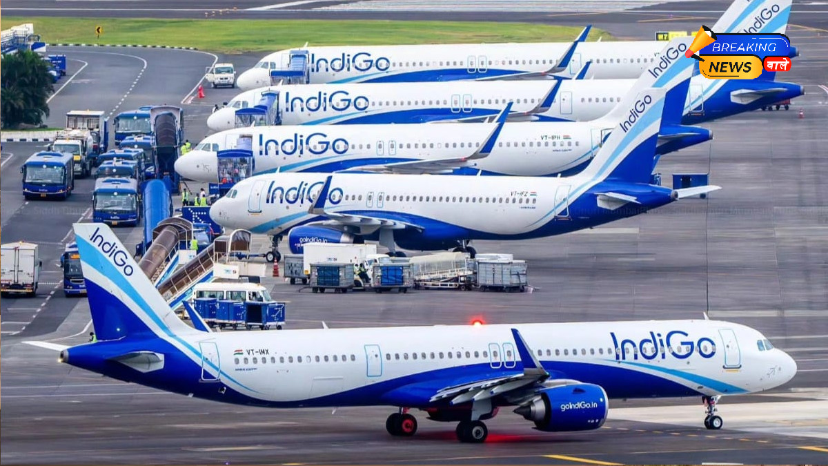 Indigo