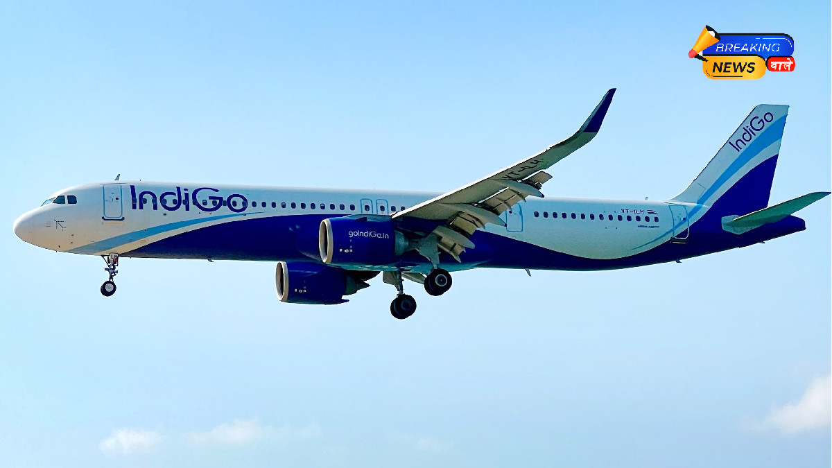 IndiGo Flight