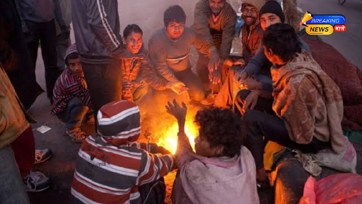 16-Year Cold Record Broken in Delhi-NCR: Temperature Falls to 2.3°C in Palam