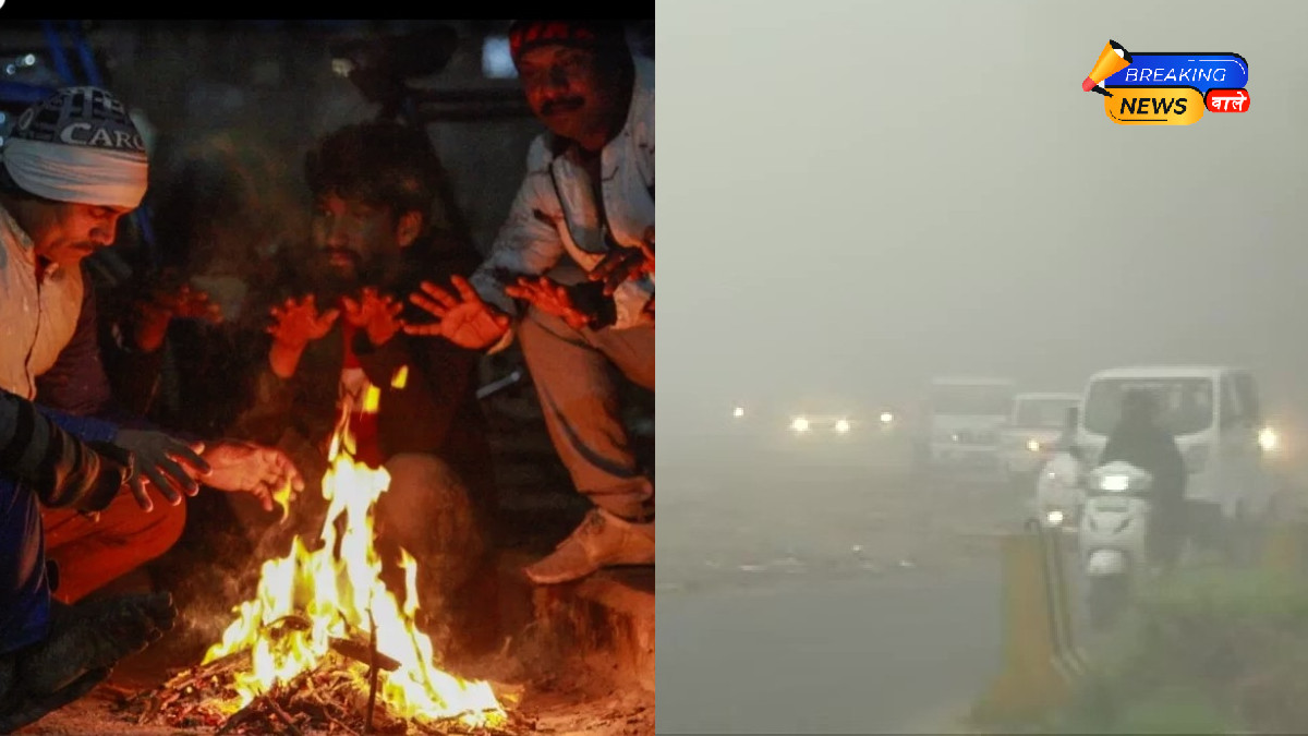 UP Weather Alert: Severe Cold Hits 8 Districts, 20 Districts Under Dense Fog Orange Alert