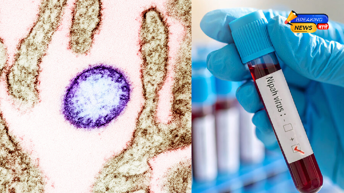 West Bengal Reports Two Possible Nipah Virus Cases, Centre Steps Up Alert