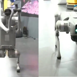 India AI Impact Summit 2026 Hit by Robot Row; Galgotias University Faces Heat Over ‘Chinese’ Origin Claim