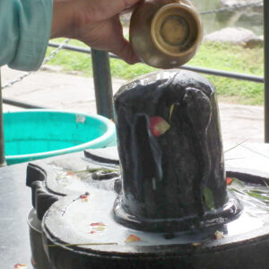 Shiva Ling Abhishek on Mahashivratri 2026 According to Your Rashi (Image Credits: Wikimedia Commons)