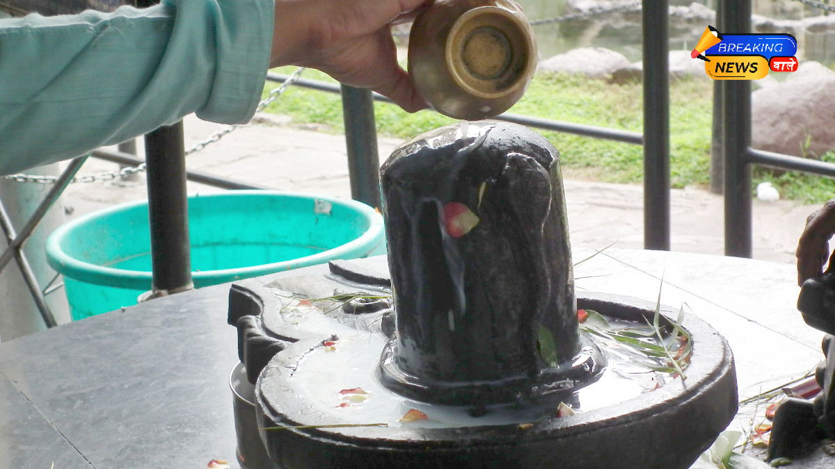 Shiva Ling Abhishek on Mahashivratri 2026 According to Your Rashi (Image Credits: Wikimedia Commons)