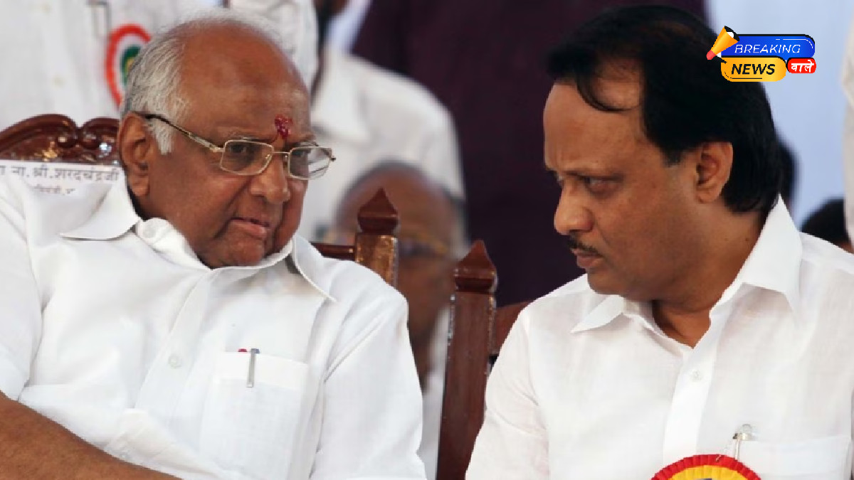 Suspense Over NCP Merger: Sunil Tatkare Reaffirms Commitment to NDA