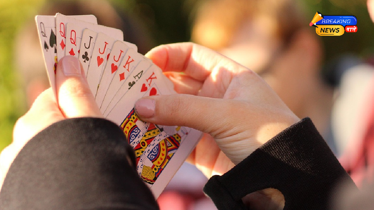 Indore Shocker: Massive Gambling Racket Busted at Woman IAS Officer’s Farmhouse; 18 Arrested