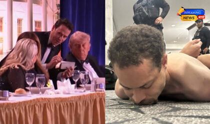 डोनाल्ड ट्रंप पर हमले की कोशिश नाकाम, सीक्रेट सर्विस ने हमलावर को दबोचा