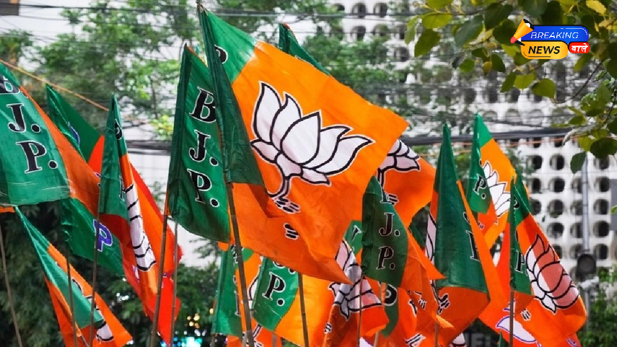 राजस्थान नगरीय निकाय चुनाव 2026: BJP के 10 पार्षद, फिर भी प्रत्याशी को 0 वोट