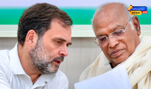 मल्लिकार्जुन खरगे और राहुल गांधी