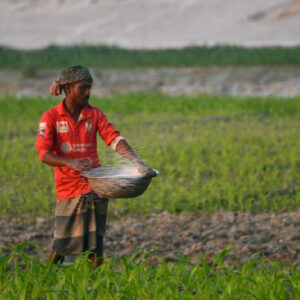 रबी सीजन से पहले 10% सस्ता हुआ यूरिया (Image: Pexels)