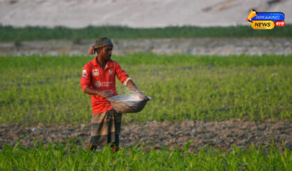 रबी सीजन से पहले 10% सस्ता हुआ यूरिया (Image: Pexels)